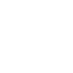 icoInstagram